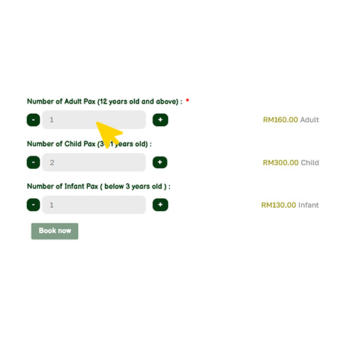 Select Travelers & Add-Ons.